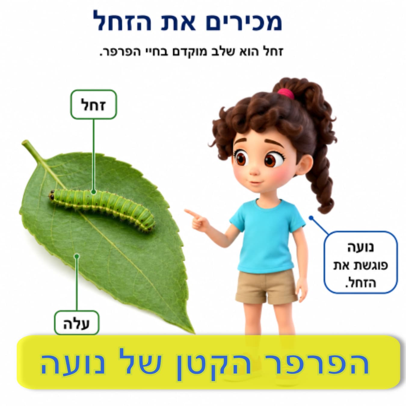 הפרפר הקטן של נועה